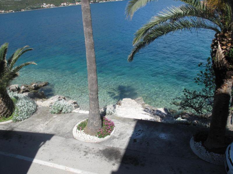 Apartments Jasmina Korčula Zimmer foto